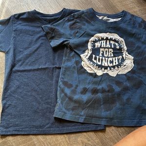 Boys tee shirt lot of 2
